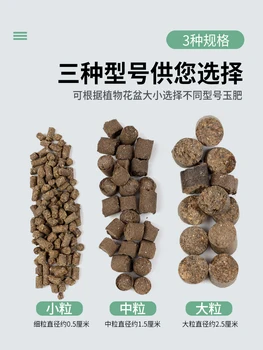 1 кг0.5-2.5 cm Yufei Bonsai Specijalno Organsko gnojivo dugo akcije za sporo oslobađanje, Гранулированное Gnojivo za početak uljane repice