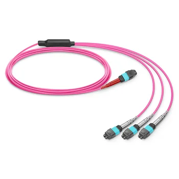 Adaptacija za multi-mode kabelskog snopa pretvorbe MTP®-24 (rozeta) do 3 x MTP®-8 (rozeta) OM4, 24 vlakna, Tip B, mućenje (OFNP)