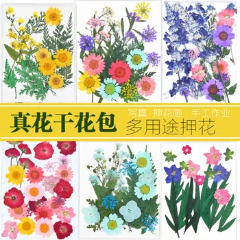DIY suhog cvijeća Punila Za Oblika Iz Tar. UV Expoxy Cvijet za Dizajn Noktiju Prešani Cvijeće za uređenje Doma Ručni rad