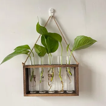 Kavezu-sadilica sa drvenim postoljem, Bistra rotirajući staklena vaza za biljke za kućne hidroponski biljke, uređenje kućni ured