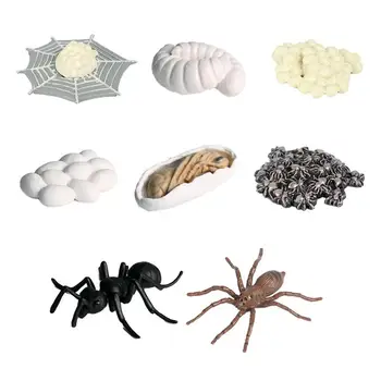Male figure pauka 8ШТ Mini Model pauka na život Razvojne igračke pauci Svijetle, za dječake i djevojčice Jaslice Vrtić