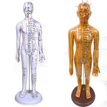 Medicinska Kineska Medicina Meridijani Akupunktura Kauterizacija 52 cm Model Spot Dummy Model Akupunktura Zlato Bijela brži Brodovi