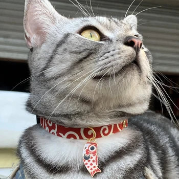 Nevjerojatno Slatka podesiva ogrlice za mačke s slatka oznake, ogrlice za kućne ljubimce i ogrlice za chihuahua 3 dostupne veličine