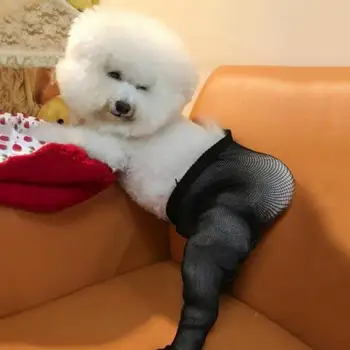 Početna pas Zabavne svilene čarape Rekvizite za snimanje fotografija pasa Simulira odijelo za velike i srednje pse nadkoljenice odijelo psi