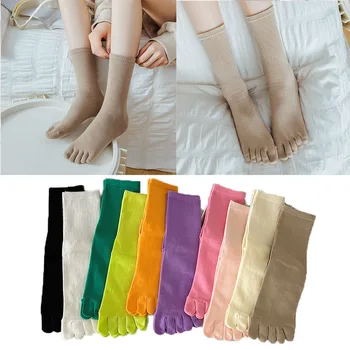 Svakodnevne čarape sa pet prstiju svijetle boje, pamučna впитывающие znoj Prozračna sportske čarape, čvrste ženske čarape sa splitom vrhom do sredine potkoljenice