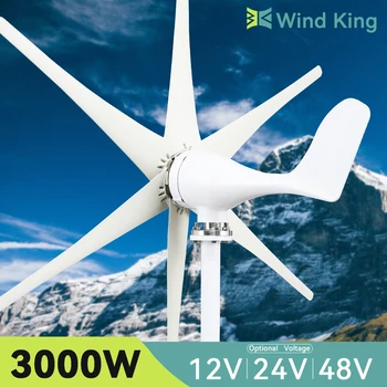WindKing 3000 W 48 12 24 U Vodene Turbine 3 kw Vjetrenjače S Hibridnim Sustavom za Upravljanje Napajanjem MPPT Za Kućnu Uporabu 6 Vodoravne Lopatice