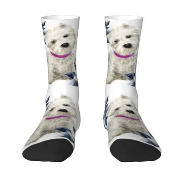 Čarape ispod haljina s вестибюлем i cvijećem Muške, ženske tople modne čarape za pse pasmine zapadnoškotski Bijeli Terijer